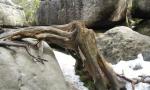 IMG_3264_1024x575.jpg
