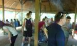 IMG_3355_1024x768.jpg