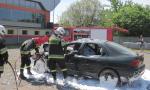 IMG_6333_1024x768.jpg