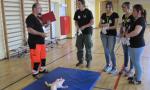IMG_6347_1024x768.jpg