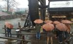 IMG-20161206-WA0005_2048x1152.jpg